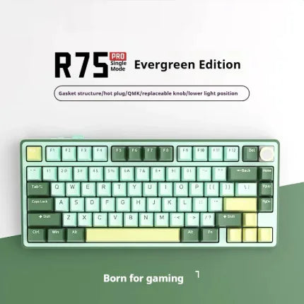 Cordless Mechanical Keyboard